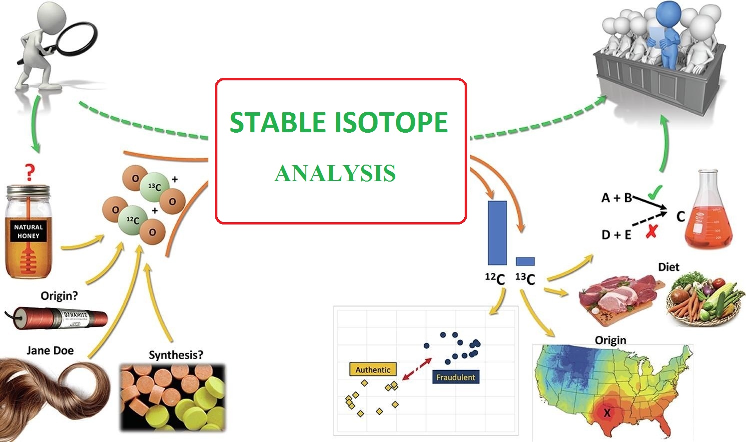 Stable isotope and What is stable isotope analysis?