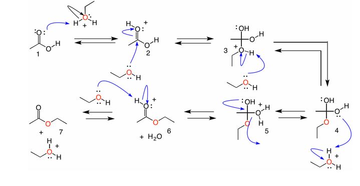 oxygen isotope