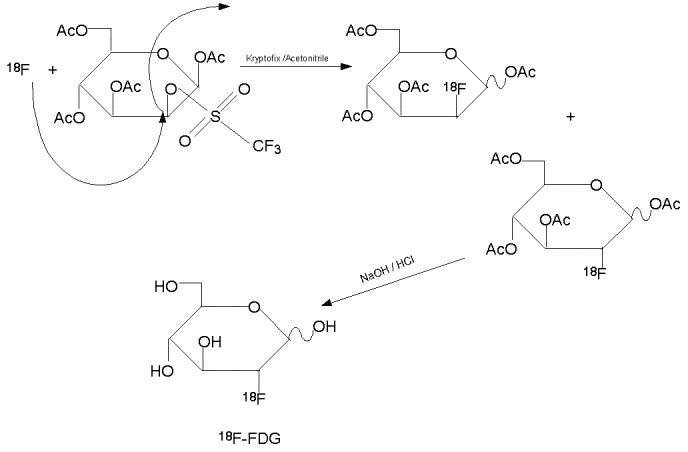 مکانیسم واکنش تولید ملکولFDG